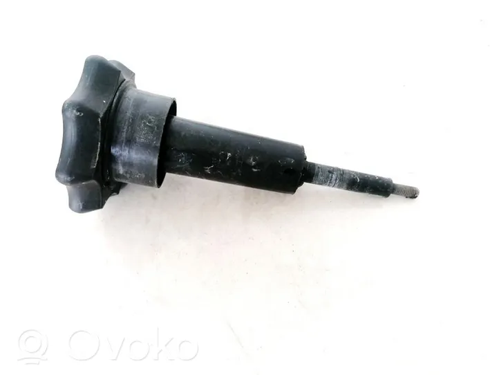 Audi A3 S3 8L Spare wheel bolt 8L0803899B