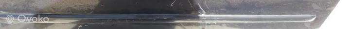 Audi A4 S4 B6 8E 8H Rivestimento della portiera anteriore (modanatura) 