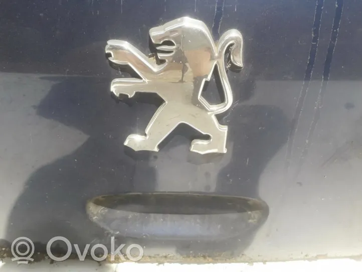 Peugeot 307 Gamintojo ženkliukas 