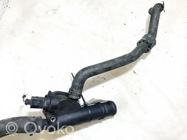 Volkswagen PASSAT B6 Tuyau de liquide de refroidissement moteur 038121132D