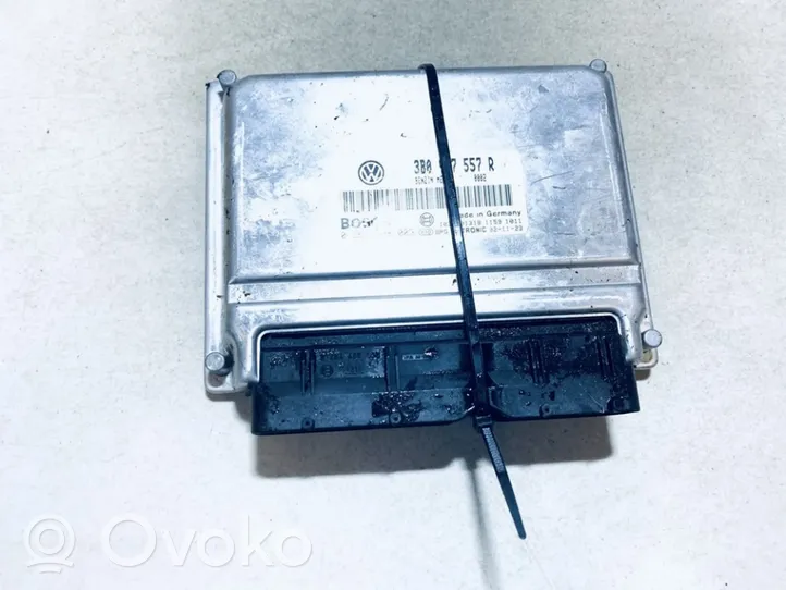 Volkswagen PASSAT B5.5 Engine control unit/module 3b0907557r