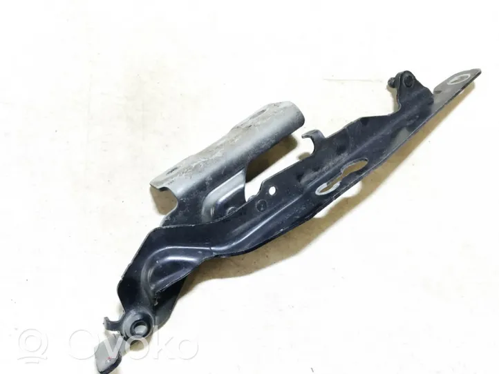 Volvo S60 Engine bonnet/hood hinges 30799179