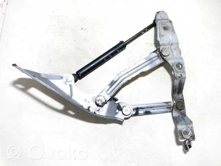 Audi TT Mk1 Cerniere del vano motore/cofano 8n0823301