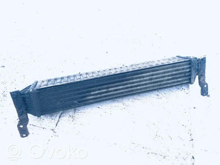 Volkswagen Sharan Radiatore intercooler 7m3145805