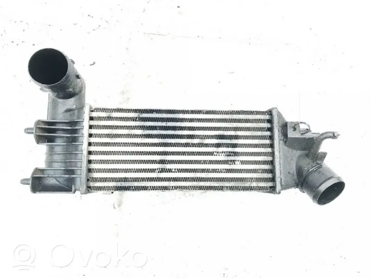 Peugeot 607 Interkūlerio radiatorius 