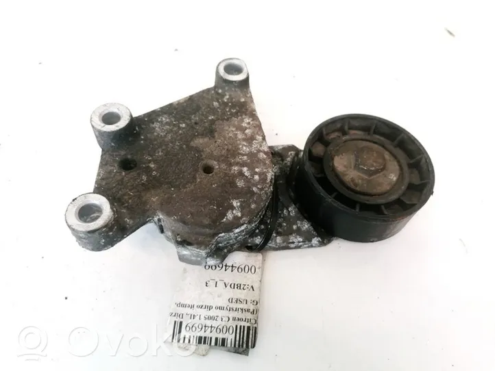 Citroen C3 Tendicinghia generatore/alternatore 