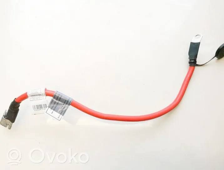 BMW 1 F20 F21 Cable positivo (batería) 925311102