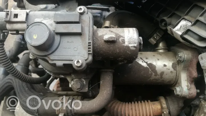 Dacia Sandero Valvola EGR 7003681406