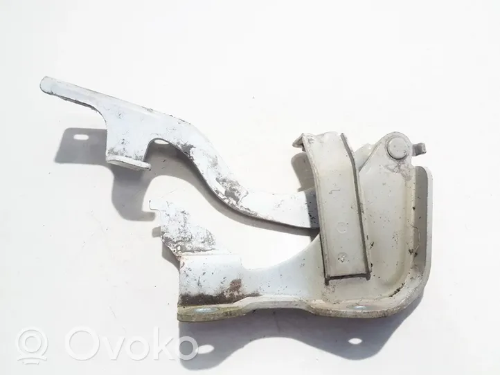 Opel Antara Engine bonnet/hood hinges 