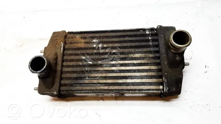 Chrysler Voyager Chłodnica powietrza doładowującego / Intercooler 868503A