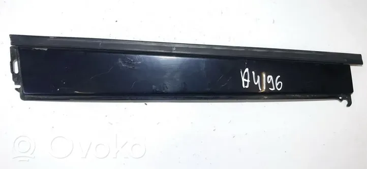 Ford Focus Rear door glass trim molding 