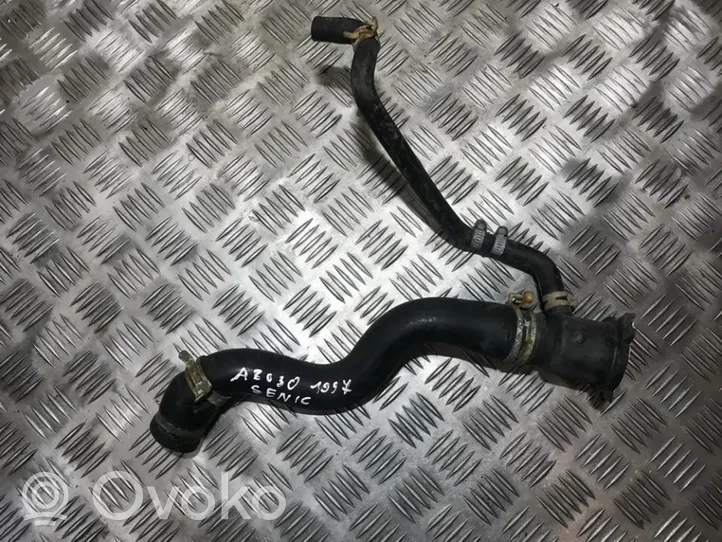 Renault Scenic I Engine coolant pipe/hose 