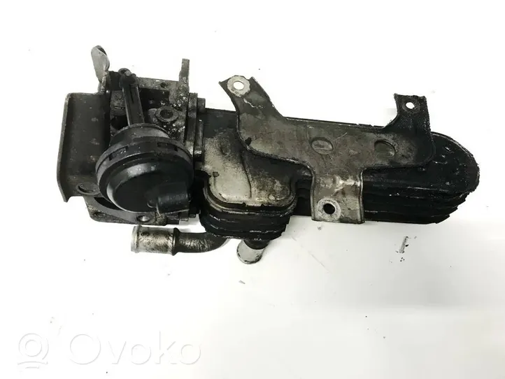 Skoda Octavia Mk2 (1Z) EGR valve cooler 038131513