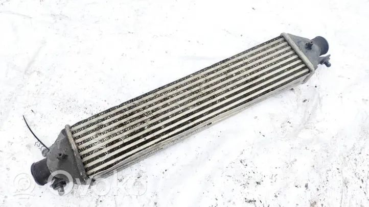 Fiat Bravo Intercooler radiator 