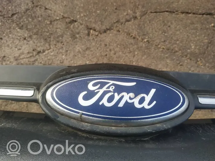 Ford Focus Gamintojo ženkliukas 