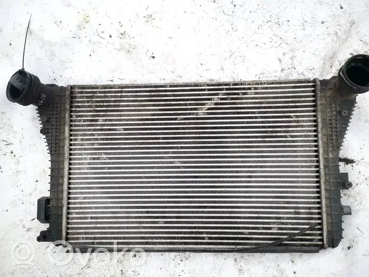 Skoda Octavia Mk2 (1Z) Radiatore intercooler 1k0145803