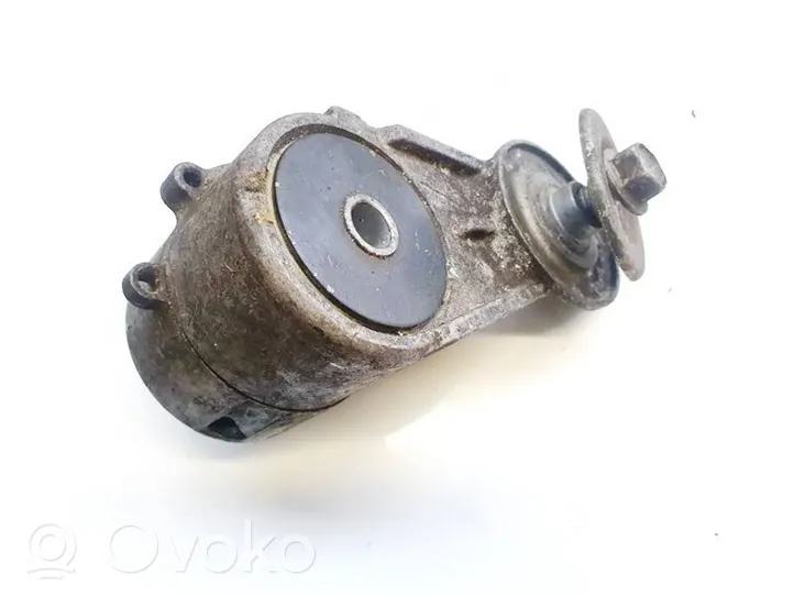 Volkswagen Golf IV Tendicinghia generatore/alternatore 90571758al