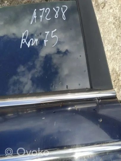 Rover 75 Listwa / Uszczelka szyby drzwi tylnych 