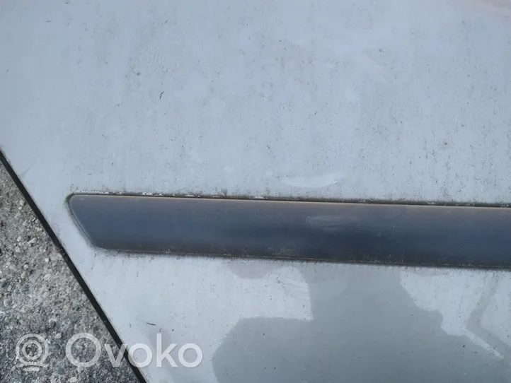 Skoda Octavia Mk2 (1Z) Rivestimento portiera posteriore (modanatura) 