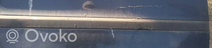 Volvo S60 Rivestimento della portiera anteriore (modanatura) 