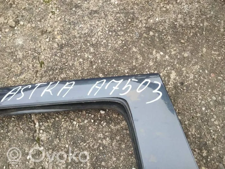 Opel Astra G Rear door PILKOS