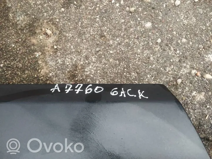 Audi A4 S4 B5 8D Rear door pilkos