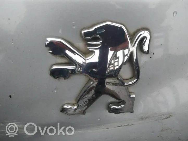 Peugeot 607 Valmistajan merkki/logo/tunnus 