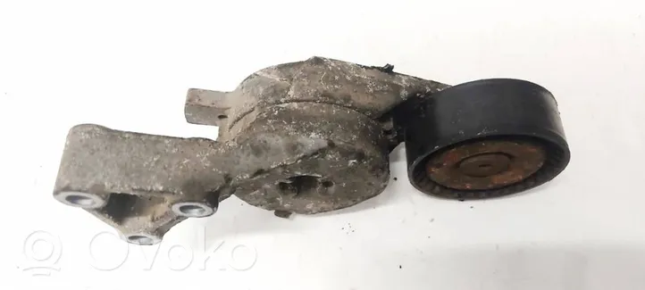 Volkswagen PASSAT B6 Napinacz paska alternatora 06A903315F