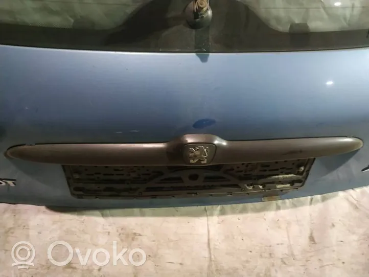 Peugeot 206 Отделка номерного знака 