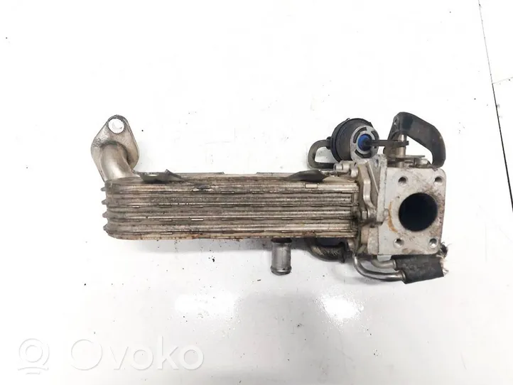 Volkswagen Touran I EGR valve cooler 038131513ad