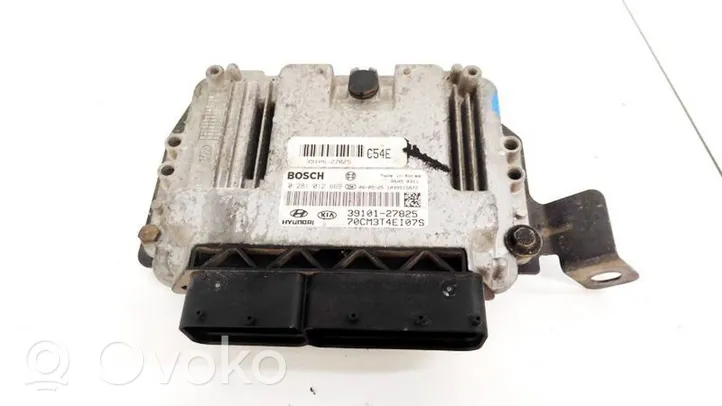 Hyundai Santa Fe Sterownik / Moduł ECU 3910127825