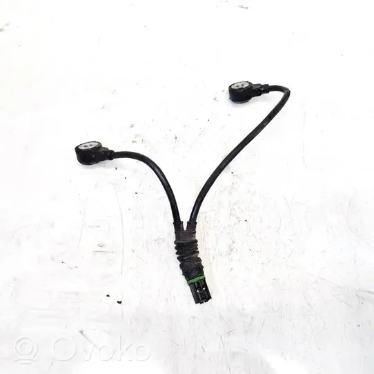 BMW 3 E46 Sensor de petardeo del motor 