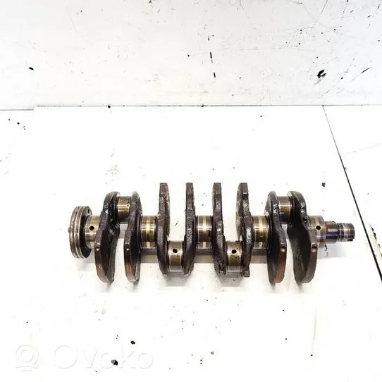 Fiat Punto (188) Crankshaft 