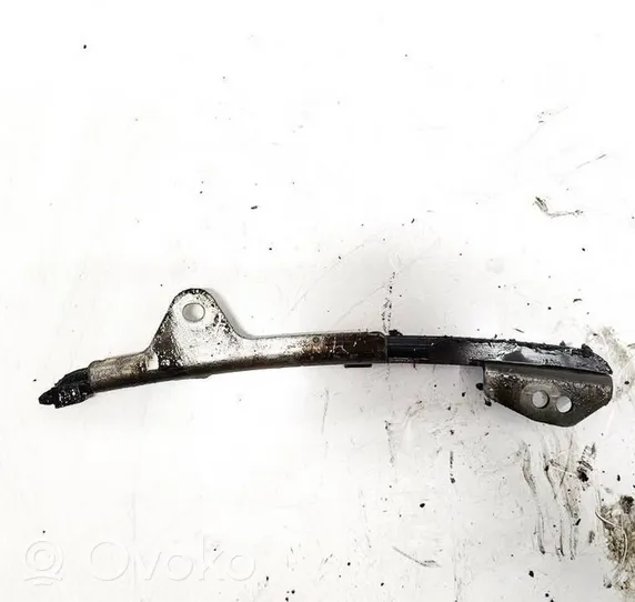 Toyota Prius (XW30) Slide rail for timing chain 