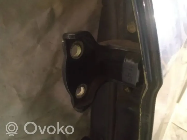 Chevrolet Captiva Rear door lower hinge 