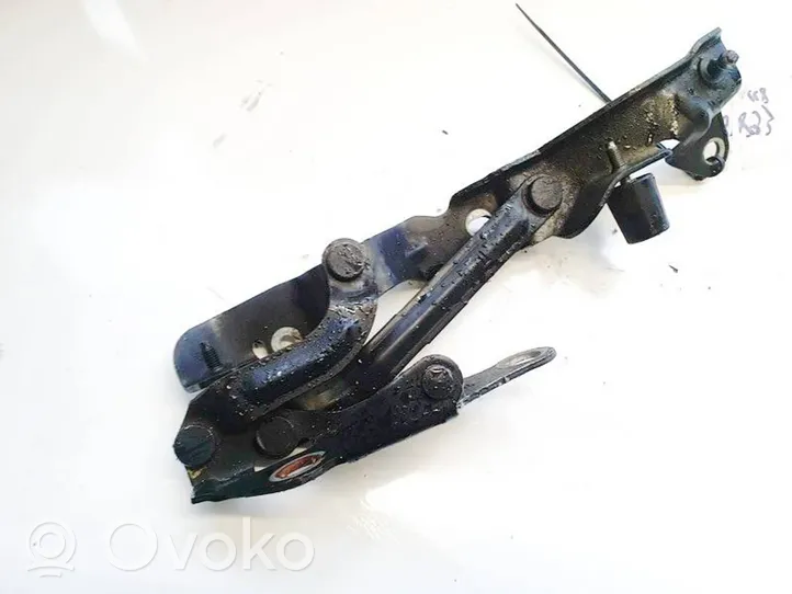 Chrysler Sebring (JS) Cerniere del vano motore/cofano 