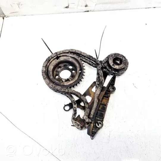 Ford Focus Timing chain (engine) 