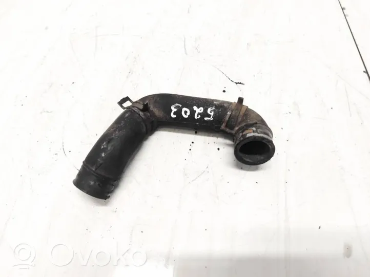 Ford Focus Przewód / Wąż chłodnicy 
