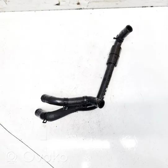 Volkswagen PASSAT B5.5 Engine coolant pipe/hose 