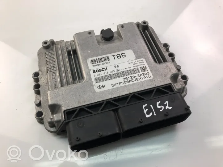 KIA Optima Centralina/modulo motore ECU 391202A303