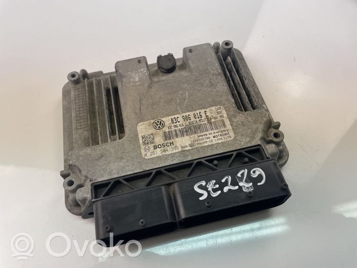 Seat Toledo III (5P) Galios (ECU) modulis 03C906016E