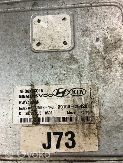 Hyundai Sonata Centralina/modulo motore ECU 3910025420