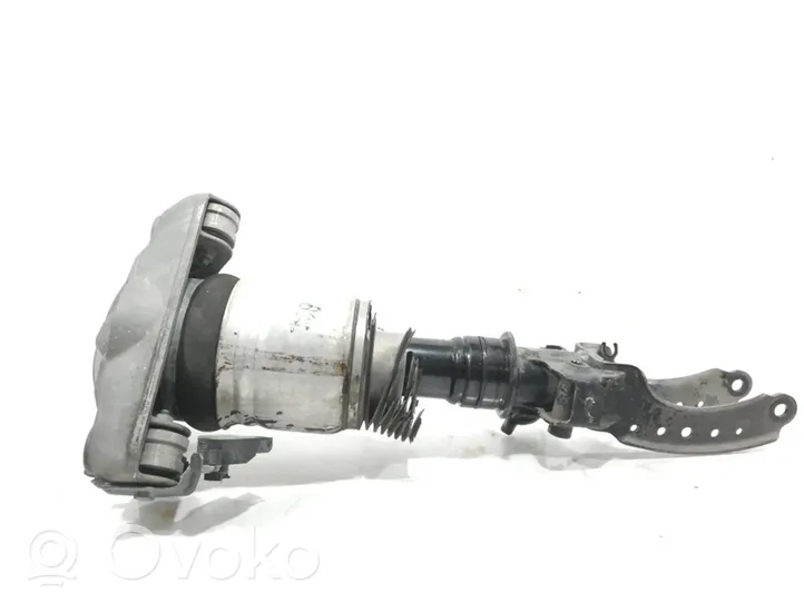 Volkswagen Touareg I Ammortizzatore anteriore 462400000673