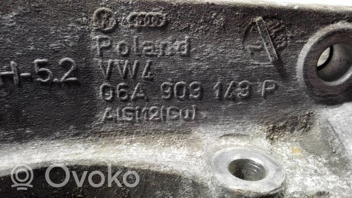 Volkswagen Sharan Supporto del generatore/alternatore 06A903143P