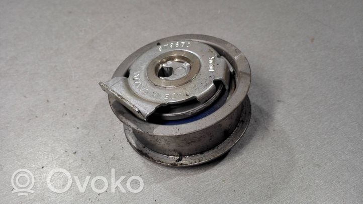 Volkswagen PASSAT B6 Napinacz paska alternatora 6007-2RS