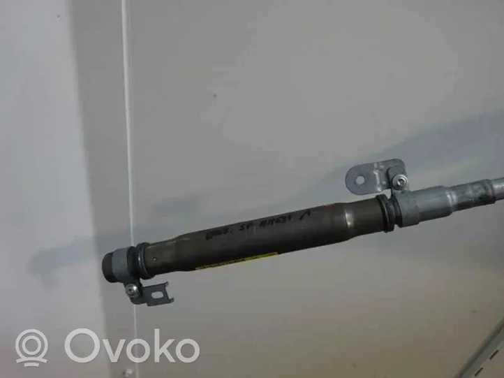 Skoda Octavia Mk2 (1Z) Kattoturvatyyny 