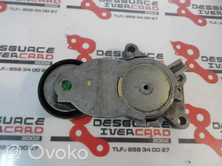 Citroen C3 Pluriel Tendicinghia generatore/alternatore 