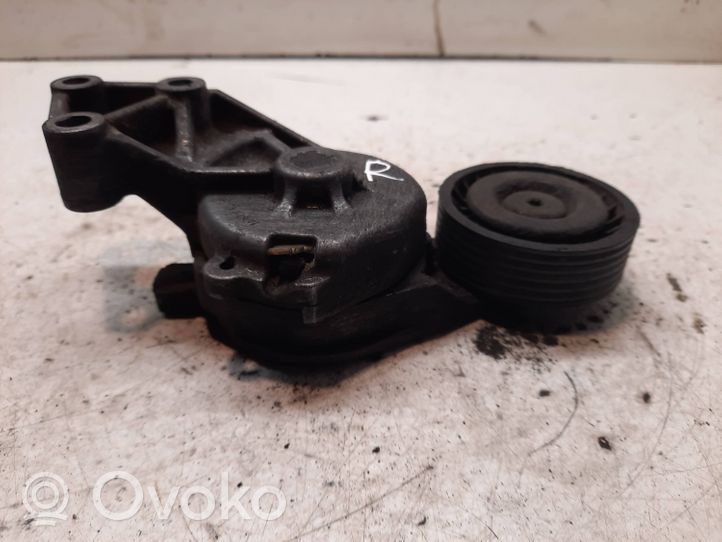 Volkswagen Bora Napinacz paska alternatora 950372