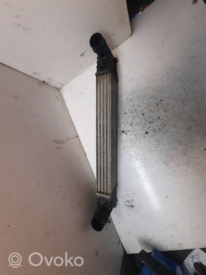 Volkswagen Sharan Radiatore intercooler 7M0145805