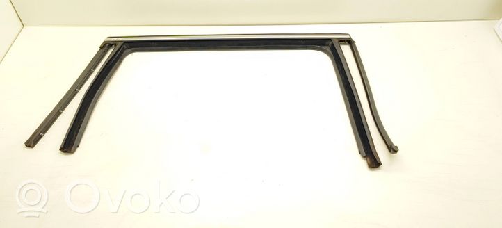 Volkswagen PASSAT B7 Galinė sandarinimo guma (ant kėbulo) 3C9839432H